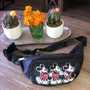 Disney Fanny Pack